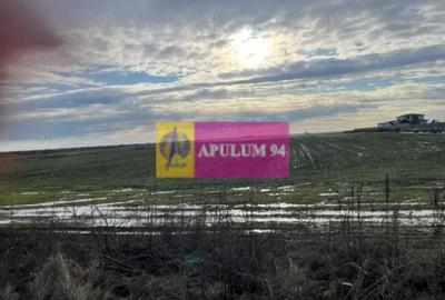 Teren de 4050 mp, în Sud - 1