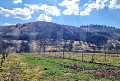 Teren de 600 mp, în Luna - 1