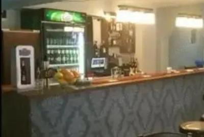 Spațiu comercial, de 190 mp, în Buziaș - 4