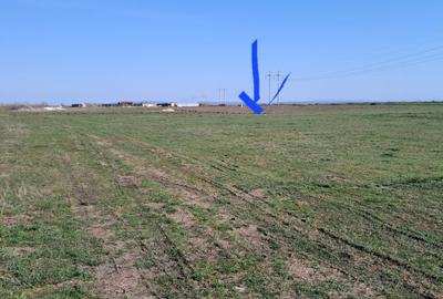 Spațiu comercial, în Sacoșu Turcesc - 2