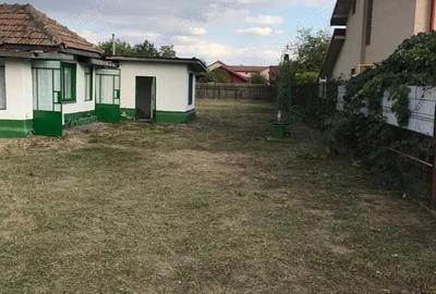 Casă cu Teren 803 Mp în Balotești - 3
