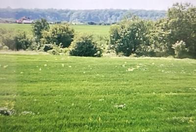 Teren de 1686 mp, în Domnești