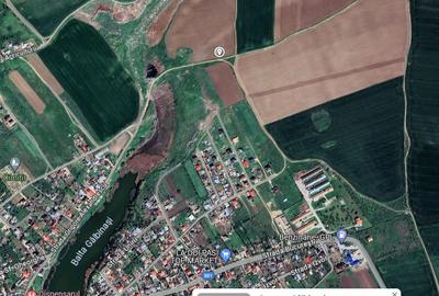 Teren agricol extravilan de 2000 mp, în Gălbinași - 4