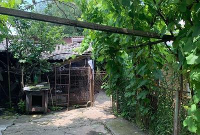 Casă cu 3 camere cu Teren 1896 Mp în Podu Turcului - 5