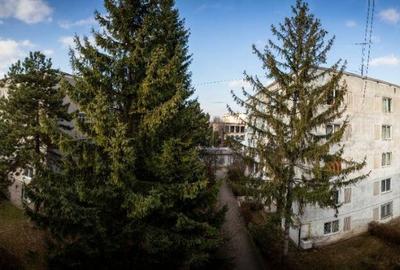 Apartament cu 2 camere semidecomandat în Centrul Istoric - 4