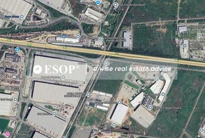 Teren industrial, 2,5 ha, deschidere 75m, Chiajna, A1, DNCB- ID 15466 - 5