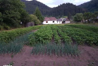 Spațiu comercial, în Lunca - 13