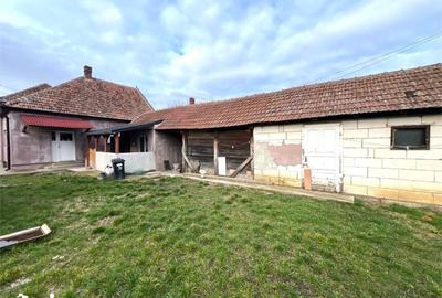 Casă cu 3 camere cu Teren 1850 Mp în Odoreu - 3