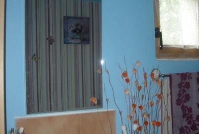Casă cu 4 camere cu Teren 3850 Mp în Olanu - 6