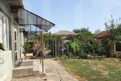 DE VANZARE Casa cu gradina mare in Lugoj - 5