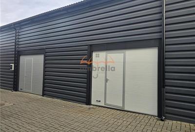 BOXA DE DEPOZITARE 60 mp - inchiriere, 290 euro - 1