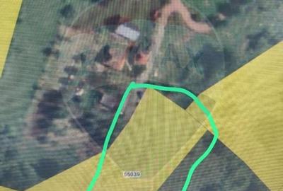 Teren constructii si faneata/livada 3082 mp Damis Bratca drum DJ 764D - 24