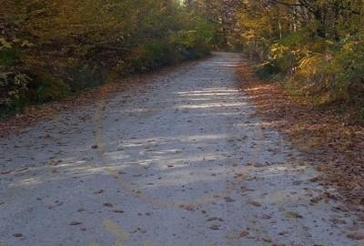 0% COMISION!!! CASA CU LAC IN INIMA PADURII  - DEALU BRADULUI - 17