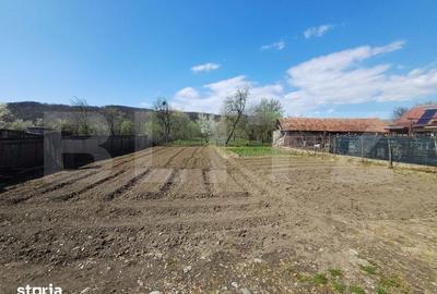 Teren de 5470 mp, în Schela - 1