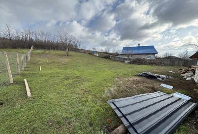 Casa de vanzare la sat - 3