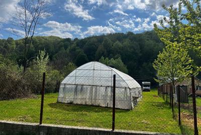 Teren de 1423 mp, în Telega - 3