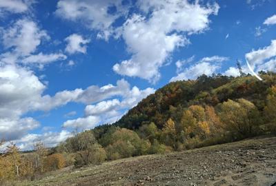 Spațiu comercial, în Țerova - 4