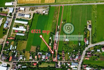 Casă cu Teren 4521 Mp în Ariceștii Rahtivani - 20
