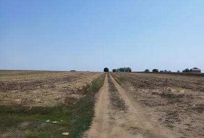 Teren de 575 mp, în Berceni - 1