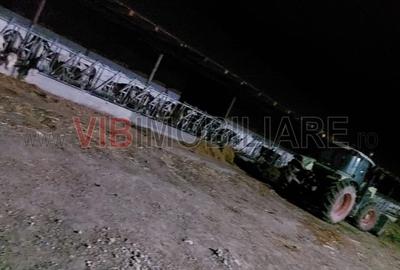 Teren de 40000 mp, în Cenad - 19