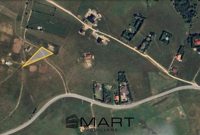 Teren intravilan zona Paltinis - 5