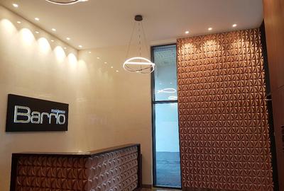 Apartament Premium de 3 Camere, langa parcul Kiseleff, 100 mp utili - 9