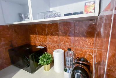 Garsonieră semidecomandată în Ultracentral - 4