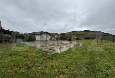 Teren 4000 mp,autorizatie de constructie Lechinta - 10