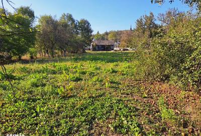 Casă cu 3 camere în Bârsa - 13