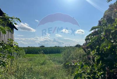 Teren intravilan 3.765 mp cu casa Bode?ti de Jos Teren intravilan 3.765 mp cu casa Bode?ti de Jos - 2