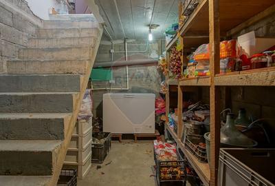 Casa individuala in Carpinis, 1093 mp teren, mobilata, zona linistita - 13