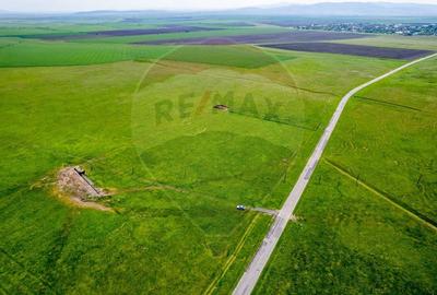 Teren agricol extravilan de 50000 mp, în Est - 9