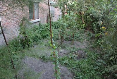 Casa in Lupeni, Hunedoara - 2