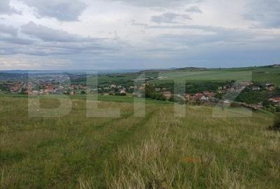 Teren extravilan 1248 mp in Copaceni! Oportunitate investitie!