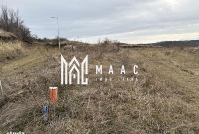 Spațiu comercial, în Paltin - 3