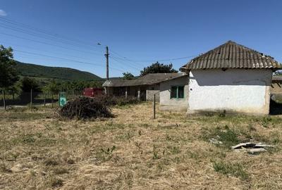 Casă cu 3 camere în Central - 6