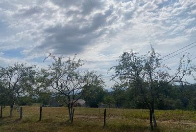 Casă cu 6 camere în Șinteu - 2