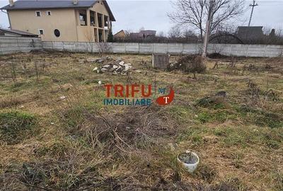 Spațiu comercial, în Cetate - 4