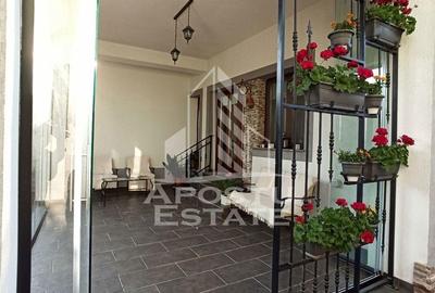 Casa 5 camere, curte, gazon livada in Gradiste - 10