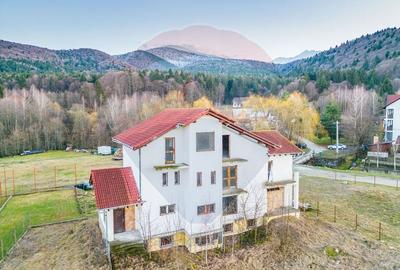 Oportunitate rara pentru dezvoltare turistica la poalele Fagarasului - 3
