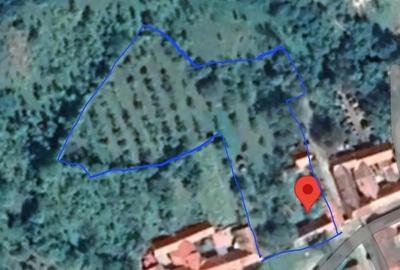 Casa 3 camere ?i beci in Slatina-Timi? jud CS - 3