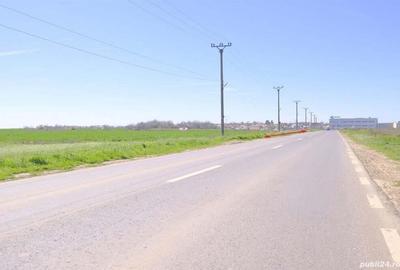 UNICAT ! Dascalu, 65.000 mp. teren intravilan cu deschidere de 102 ml. la DJ200 UNICAT ! Dascalu, 65.000 mp. teren intravilan cu deschidere de 102 ml. la DJ200 - 3