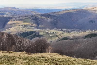 19,5 Ha  TEREN PEISAJ PANORAMIC SPECTACULOS zona turistica montana BULZ -  BIHOR - 59