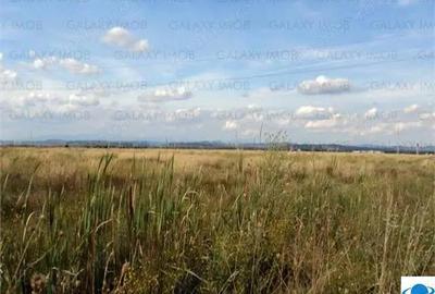 Teren de 5000 mp, în Exterior Sud - 7