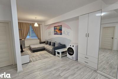 Apartament cu 2 camere în Șcheia - 18
