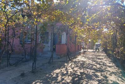 Casă cu 2 camere cu Teren 2000 Mp în Cârna - 2
