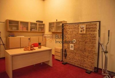 Casă / Vilă 5 camere în zona  Iancu Nicolae British School Bucharest - 14