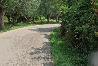 Curte 3025mp , Bughea de Jos, 5 min Valeni PH - 15