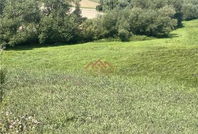 Teren de 8000 mp, în Moara - 3