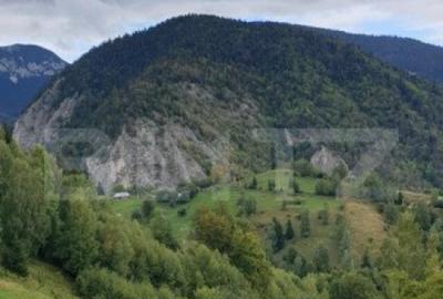 Teren 13.570 mp, Moieciu Pestera - 4